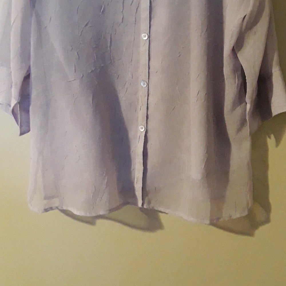 Dress Blouse - Picture 2 of 4
